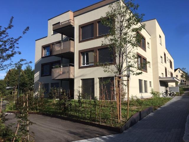Rent a 2 ½ rooms apartment in Hedingen Flatfox