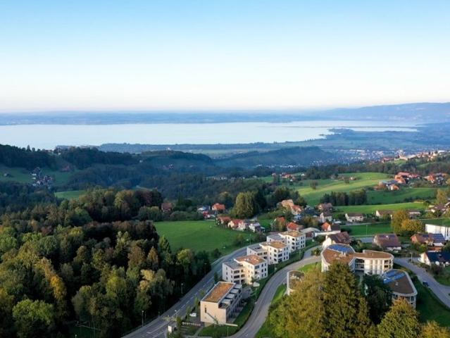 Rent a 2 ½ rooms apartment in Heiden Flatfox