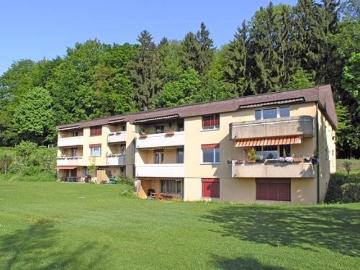 Rent a 2 ½ rooms apartment in Jona Flatfox
