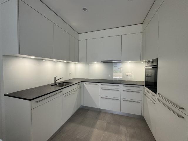 Rent a 2 ½ rooms apartment in Oberdorf Flatfox