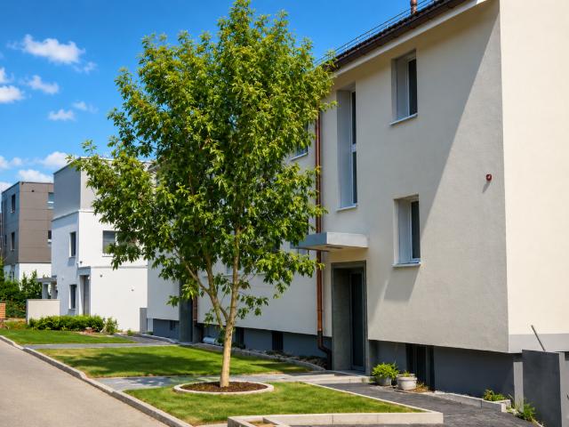 Rent a 2 rooms apartment in Oberengstringen Flatfox