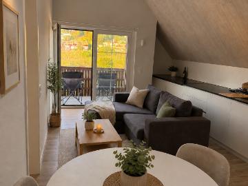 Rent a 2 ½ rooms apartment in Oberhasli Flatfox