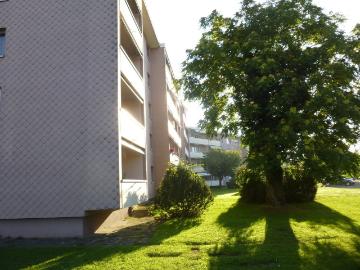Rent a 2 rooms apartment in Oftringen Flatfox