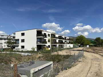 Rent a 2 ½ rooms apartment in Olten Flatfox
