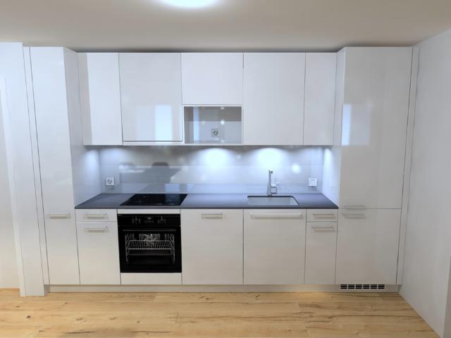 Rent a 2 ½ rooms apartment in Opfikon Flatfox