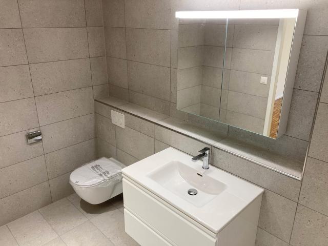 Rent a 2 ½ rooms apartment in Ormalingen Flatfox