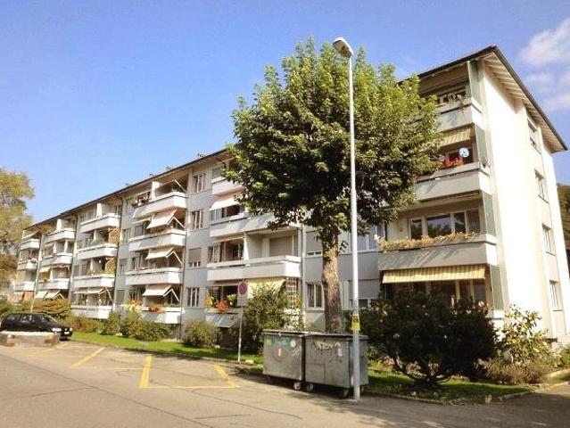 Rent a 2 ½ rooms apartment in Ostermundigen Flatfox