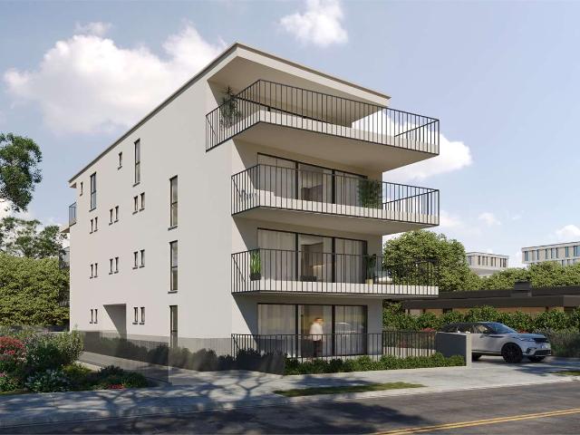 Rent a 2 ½ rooms apartment in Locarno Flatfox