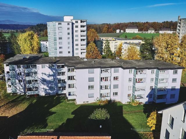 Rent a 2 ½ rooms apartment in Langenthal Flatfox