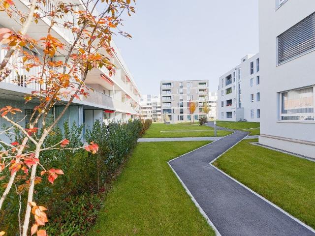 Rent a 2 ½ rooms apartment in Liebefeld Flatfox
