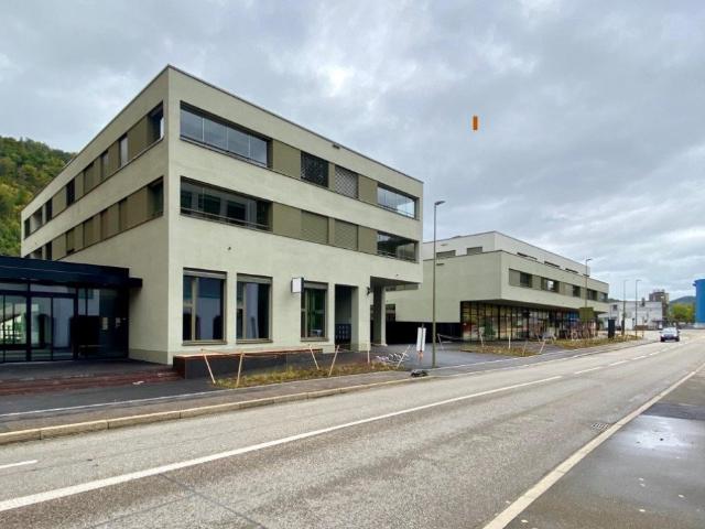 Rent a 2 ½ rooms apartment in Liestal Flatfox