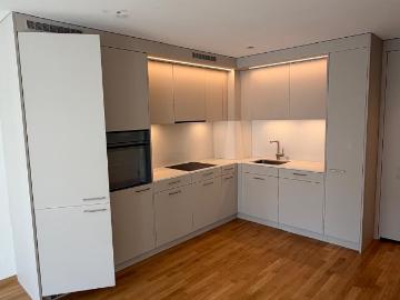 Rent a 2 rooms apartment in Luzern Flatfox