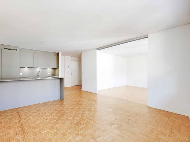 Rent a 2 ½ rooms apartment in Luzern Flatfox