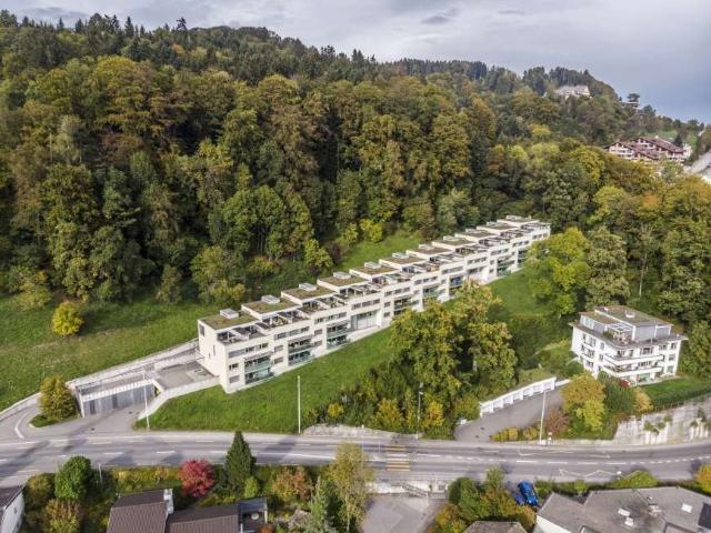 Rent a 2 ½ rooms apartment in Luzern Flatfox