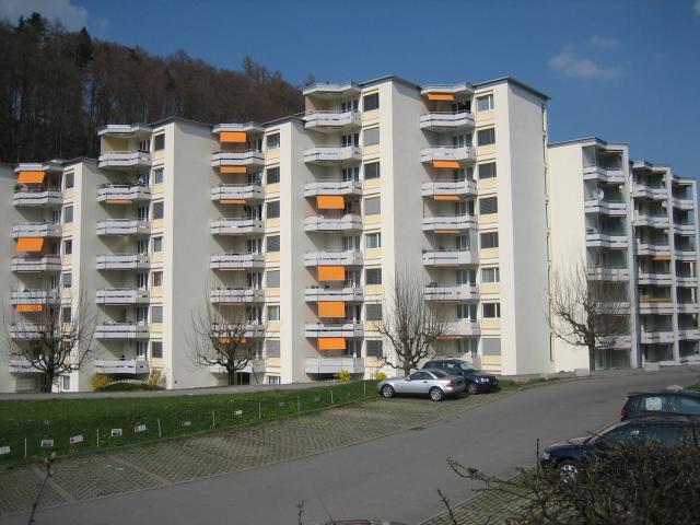 Rent a 2 ½ rooms apartment in Luzern Flatfox