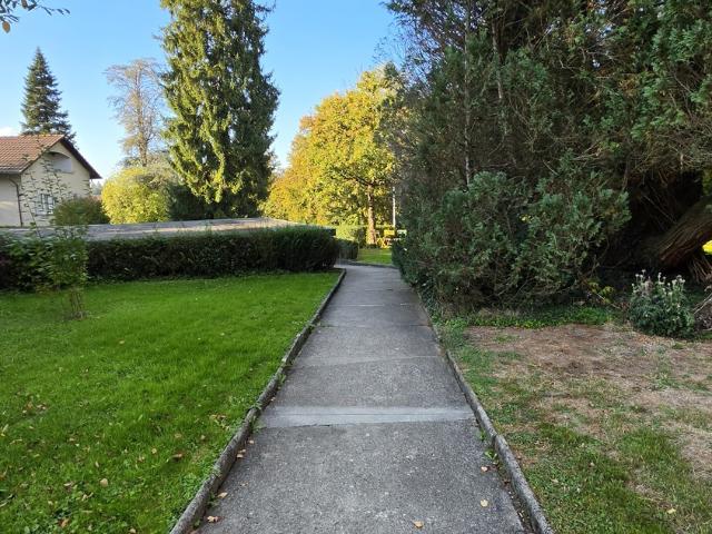 Rent a 2 ½ rooms apartment in Luzern Flatfox