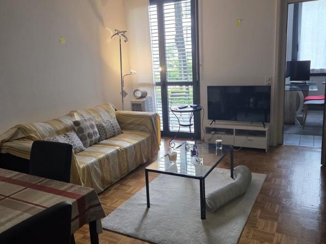 Rent a 2 ½ rooms apartment in Lugano Flatfox