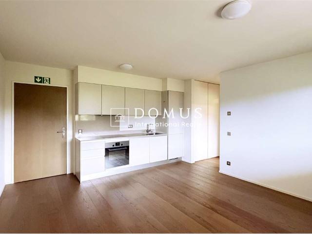 Rent a 2 ½ rooms apartment in Lugano Flatfox