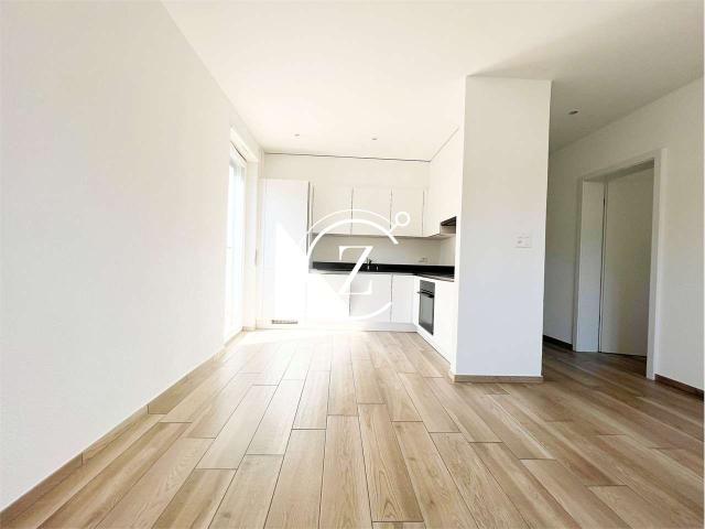 Rent a 2 ½ rooms apartment in Lugano Flatfox