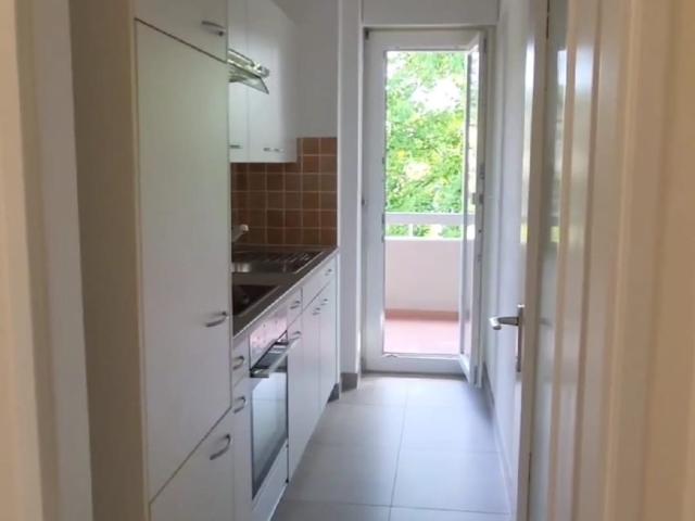 Rent a 2 ½ rooms apartment in Lugano Flatfox