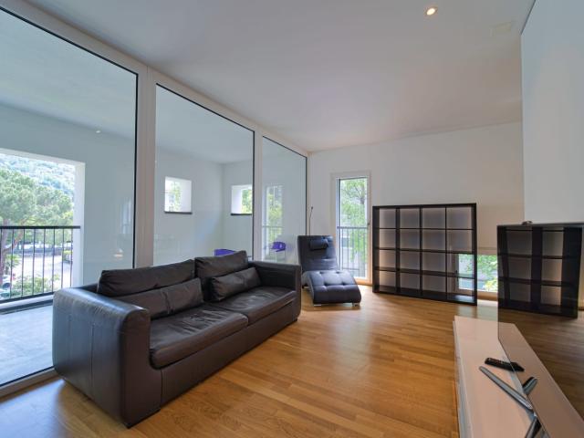 Rent a 2 ½ rooms apartment in Lugano Flatfox