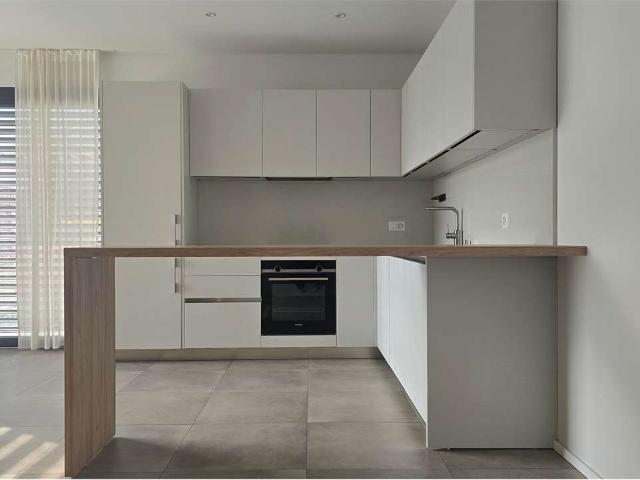 Rent a 2 ½ rooms apartment in Lugano Flatfox