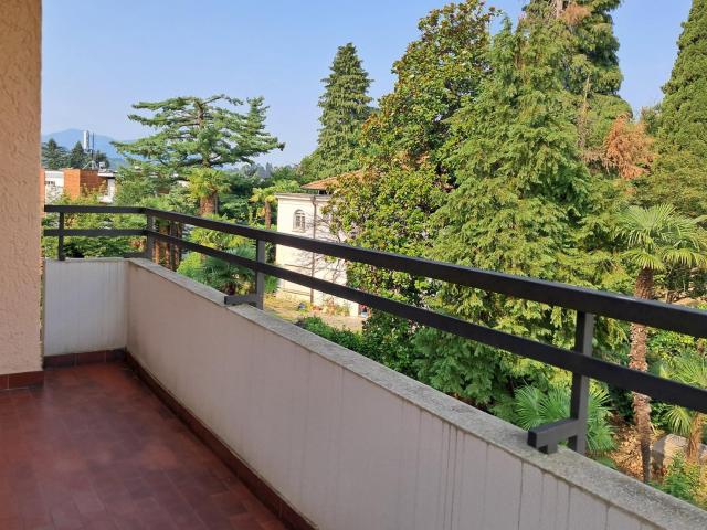 Rent a 2 ½ rooms apartment in Lugano Flatfox