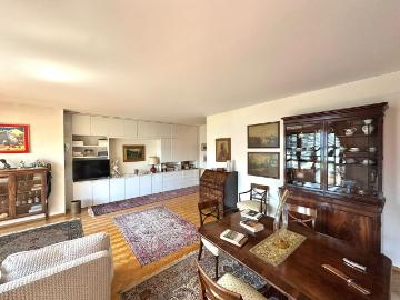 Rent a 2 ½ rooms apartment in Lugano Flatfox