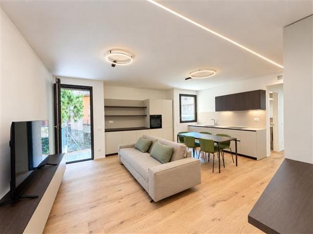 Rent a 2 ½ rooms apartment in Lugano Flatfox