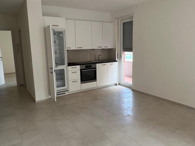 Rent a 2 ½ rooms apartment in Lugano Flatfox