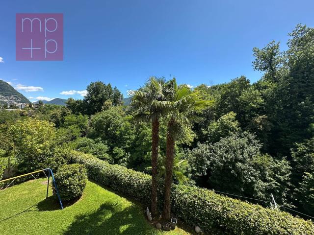 Rent a 2 ½ rooms apartment in Lugano Flatfox