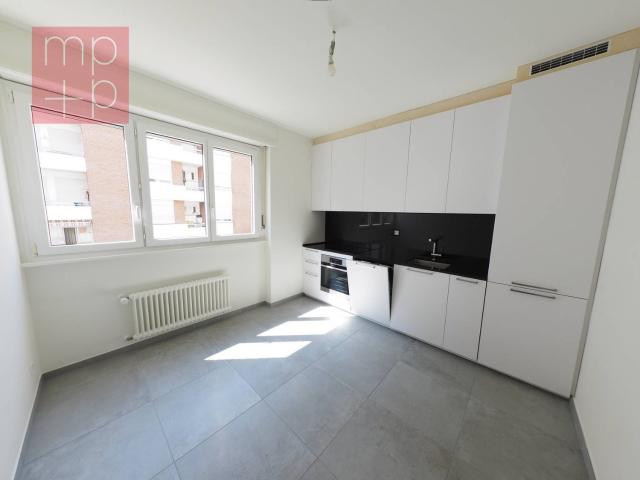 Rent a 2 rooms apartment in Lugano Flatfox