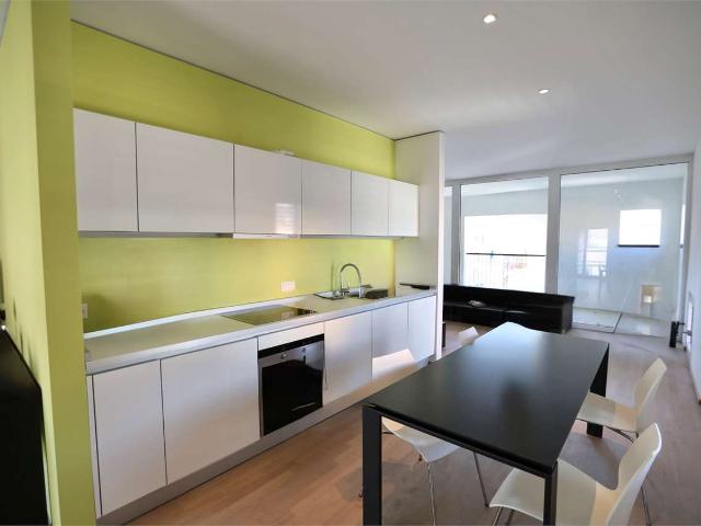 Rent a 2 ½ rooms apartment in Lugano Flatfox