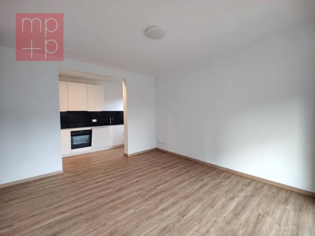 Rent a 2 ½ rooms apartment in Lugano Flatfox