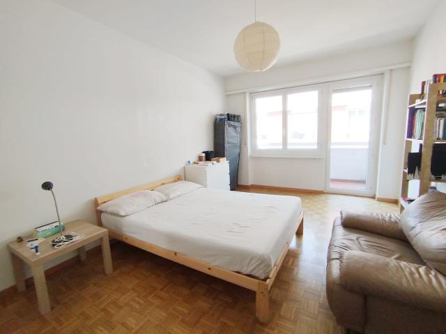 Rent a 2 ½ rooms apartment in Lugano Flatfox