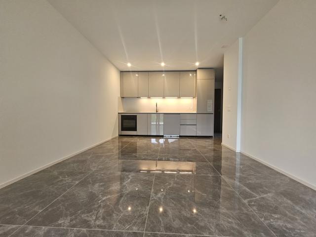 Rent a 2 ½ rooms apartment in Lumino Flatfox