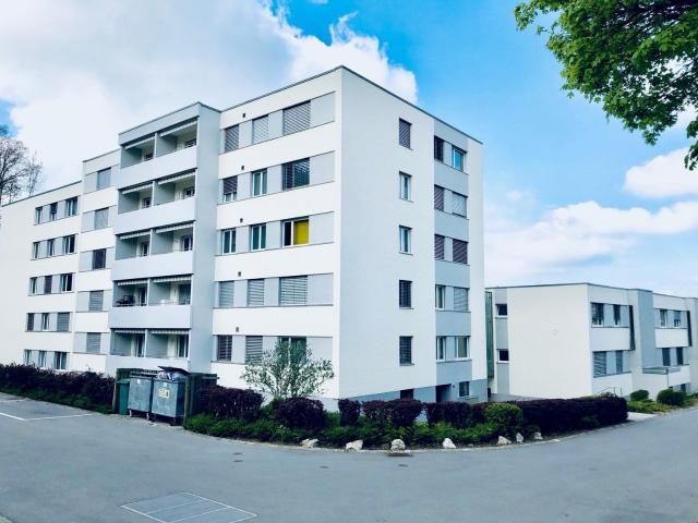 Rent a 2 rooms apartment in Lyss Flatfox