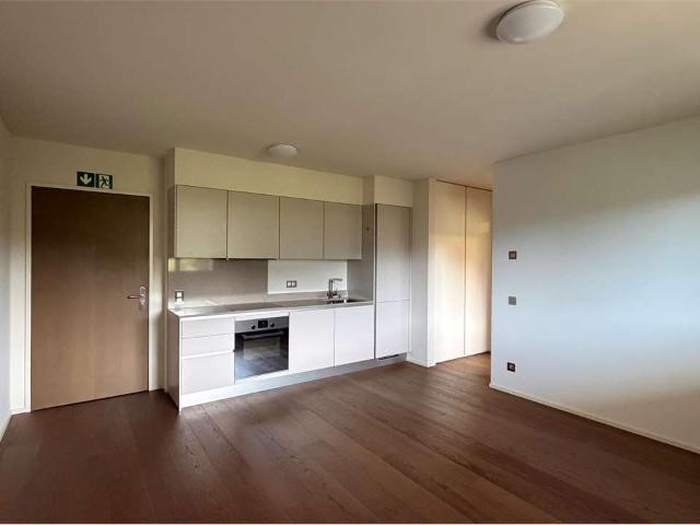 Rent a 2 ½ rooms apartment in Montagnola Flatfox
