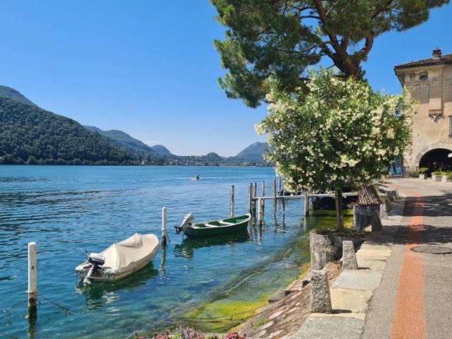 Rent a 2 ½ rooms apartment in Morcote Flatfox