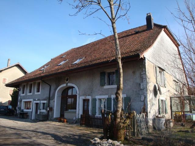 Rent a 2 ½ rooms apartment in Morrens Flatfox