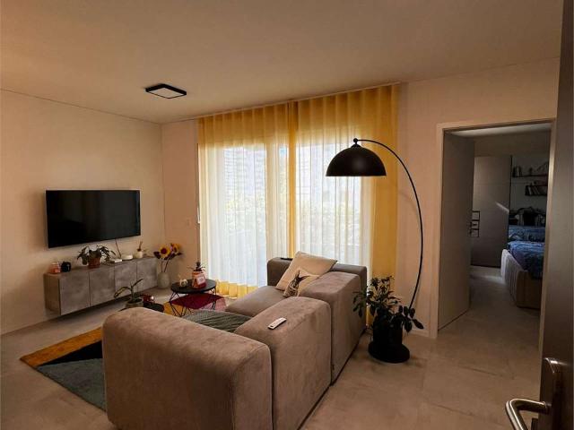 Rent a 2 ½ rooms apartment in Massagno Flatfox