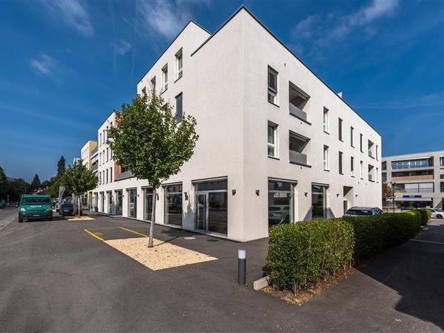 Rent a 2 ½ rooms apartment in Muri AG Flatfox