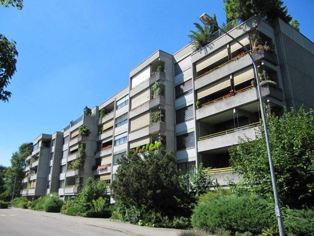 Rent a 2 ½ rooms apartment in Muri b. Bern Flatfox