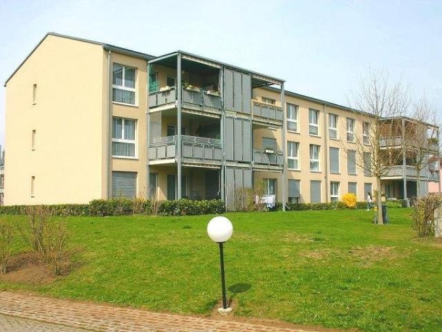 Rent a 2 ½ rooms apartment in Murten Flatfox