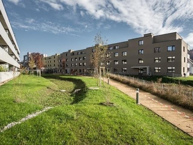 Rent a 2 ½ rooms apartment in Neuenegg Flatfox