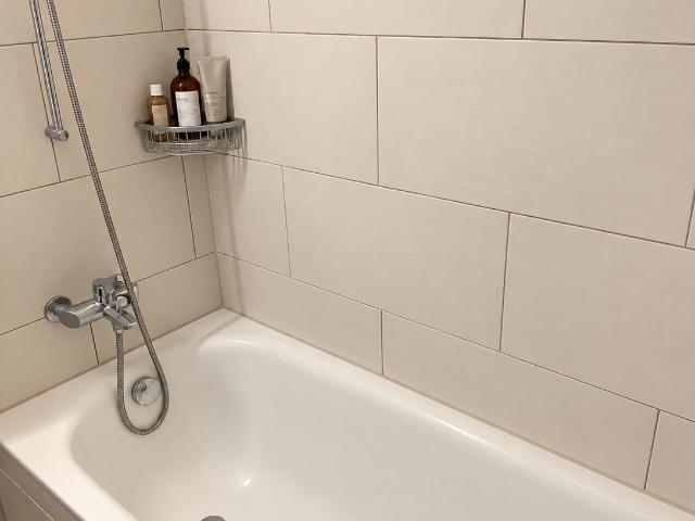 Rent a 2 rooms apartment in Neuenhof Flatfox
