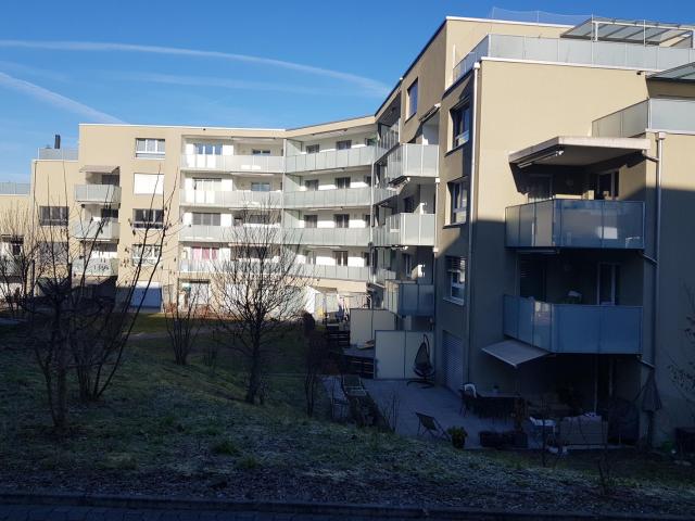 Rent a 2 ½ rooms apartment in Neuenhof Flatfox