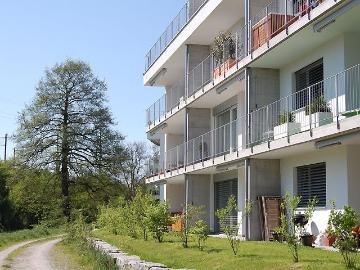 Rent a 2 ½ rooms apartment in Niederglatt ZH Flatfox
