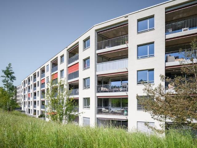 Rent a 2 ½ rooms apartment in Niederwangen BE Flatfox