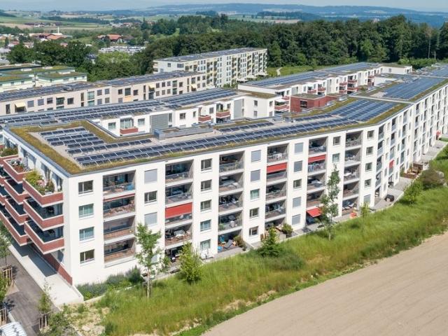 Rent a 2 ½ rooms apartment in Niederwangen BE Flatfox